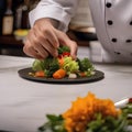 A chef garnishing a dish with edible flowers1 Royalty Free Stock Photo