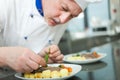 Chef garnishing a dish Royalty Free Stock Photo