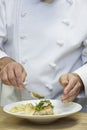 Chef Garnishing Food Royalty Free Stock Photo