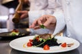 Chef garnishing meal on counter