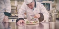 Chef garnishing salad in kitchen Royalty Free Stock Photo