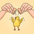 Chef hands breaking egg pop art vector hand drawn Royalty Free Stock Photo