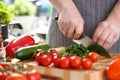 Chef Hands Chopping Dieting Herb Greens Ingredient Royalty Free Stock Photo