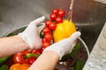 Chef hands holding bell pepper, stem of cherry tomatoes and cucumber. Royalty Free Stock Photo