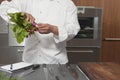 Chef Holding Bundle Of Radishes In Kitchen