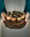 Chef holding chocolate dessert with blackberry Royalty Free Stock Photo