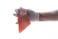 Cook is proposing fresh salmon for preparing a meal.Male hand in glove with tasty raw salmon Royalty Free Stock Photo