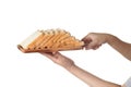 Chef holding toast wheat bread sliced on white background