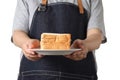 Chef holding toast wheat bread sliced on white background