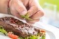 Chef prepared beef flank steak with vegetable decoration. Royalty Free Stock Photo