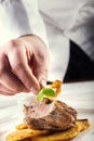 Chef in hotel or restaurant kitchen cooking, only hands. Royalty Free Stock Photo