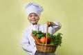 Chef keeps in his hands a basket of vegetables Royalty Free Stock Photo