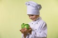 Chef keeps in his hands a cabbage Royalty Free Stock Photo