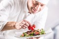 Chef in the kitchen of the hotel or restaurant decorates the food just before serving Royalty Free Stock Photo