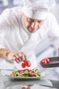 Chef in the kitchen of the hotel or restaurant decorates the food just before serving Royalty Free Stock Photo