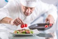 Chef in the kitchen of the hotel or restaurant decorates the food just before serving Royalty Free Stock Photo