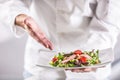 Chef in the kitchen of the hotel or restaurant showing on the food just before serving Royalty Free Stock Photo