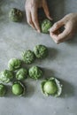 Chef peeling fresh green tomatillos Royalty Free Stock Photo