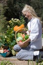 Chef Picking Vegetables