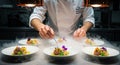 Chef plating elegant dishes in a professional kitchen. Each plate features a Royalty Free Stock Photo