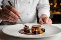 Chef plating a gourmet dish in a fine dining restaurant Royalty Free Stock Photo