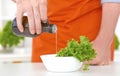 Chef is pouring olive oil over fresh salad in restaurant kitchen closeup. Just hands over the table. Royalty Free Stock Photo