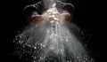 Chef prepare white flour dust for cooking bakery food. Elderly man Chef clap hand, white flour dust explode fly in air. Flour stop Royalty Free Stock Photo