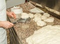 The chef prepares the balls of pizza dough on the floured table.Food, italian cuisine and cooking concept. Preparation of the Ital Royalty Free Stock Photo