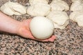 The chef prepares the balls of pizza dough on the floured table.Food, italian cuisine and cooking concept. Preparation of the Ital Royalty Free Stock Photo