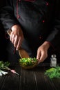 The chef prepares food from fresh vegetables in the kitchen. Lettuce salad prepared by the chef`s hands. Vegetarian cuisine Royalty Free Stock Photo