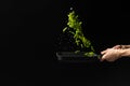 The chef prepares green beans, freezing. Black background for copying text. Cooking concept, cook books, recipes