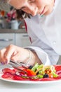 Chef preparing dish with bersaola and mixed salad Royalty Free Stock Photo