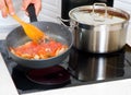 Chef preparing food Royalty Free Stock Photo