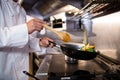 Chef preparing food in the kitchen Royalty Free Stock Photo