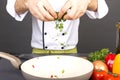 Chef preparing food with organic fresh parsley Royalty Free Stock Photo