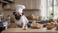 chef preparing food A pug puppy wearing a tiny chefs hat and apron, standing on a stool in a kitchen, hilariously Royalty Free Stock Photo