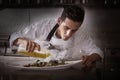 Chef preparing octopus in kitchen with smoke Royalty Free Stock Photo