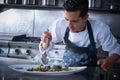 Chef preparing octopus in kitchen with smoke Royalty Free Stock Photo