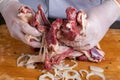 Chef preparing raw lamb chops for cooking separating the rack of lamb Royalty Free Stock Photo