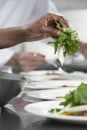 Chef Preparing Salad Royalty Free Stock Photo