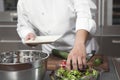 Chef Preparing Salad In Commercial Kitchen Royalty Free Stock Photo