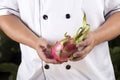 Chef presend dragon fruit Royalty Free Stock Photo
