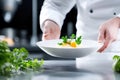 Chef presenting gourmet dish in elegant restaurant kitchen setting Royalty Free Stock Photo