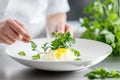 Chef presenting gourmet dish in elegant restaurant kitchen setting Royalty Free Stock Photo