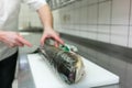 Chef in restaurant kitchen filleting carp fish Royalty Free Stock Photo