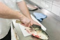 Chef in restaurant kitchen filleting carp fish Royalty Free Stock Photo