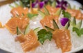 Chef`s Freshly Prepared Salmon Sashimi Royalty Free Stock Photo