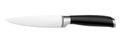 Chef\'s kitchen vegetable knife with black handle