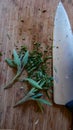 Chef`s knife on chopping board with fresh sage and rosemary