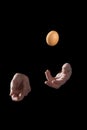 Chef`s male hands juggle a brown egg on a black background